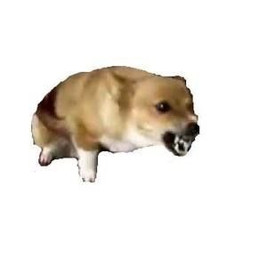 Meet your Posher, Felix